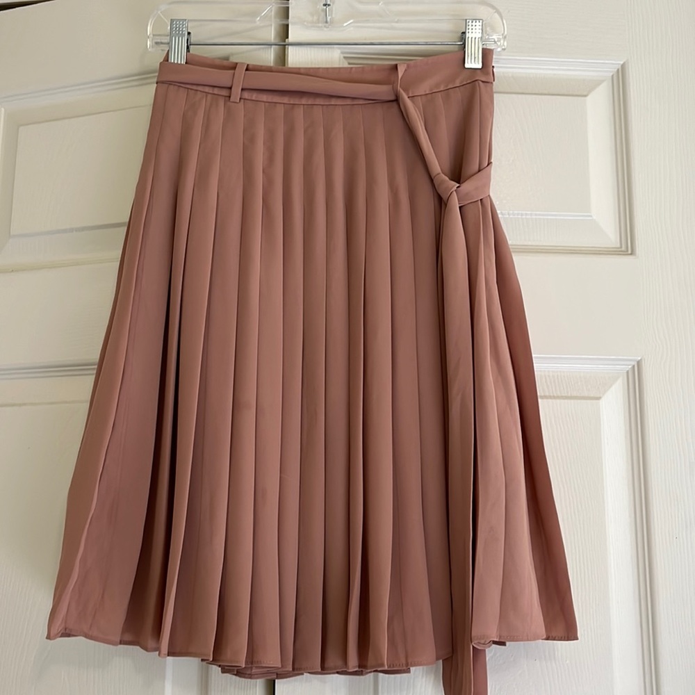 Blush pleated skirt 00P Ann Taylor